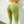 Load image into Gallery viewer, Higher Evolution- Compression, Contour Leggings
